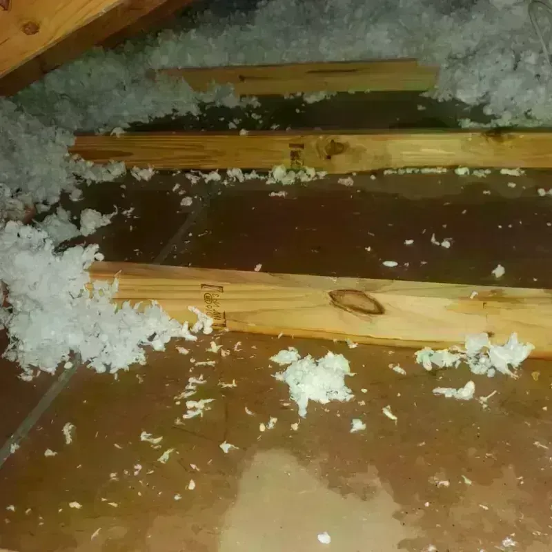 Attic Water Damage in South Whitley, IN